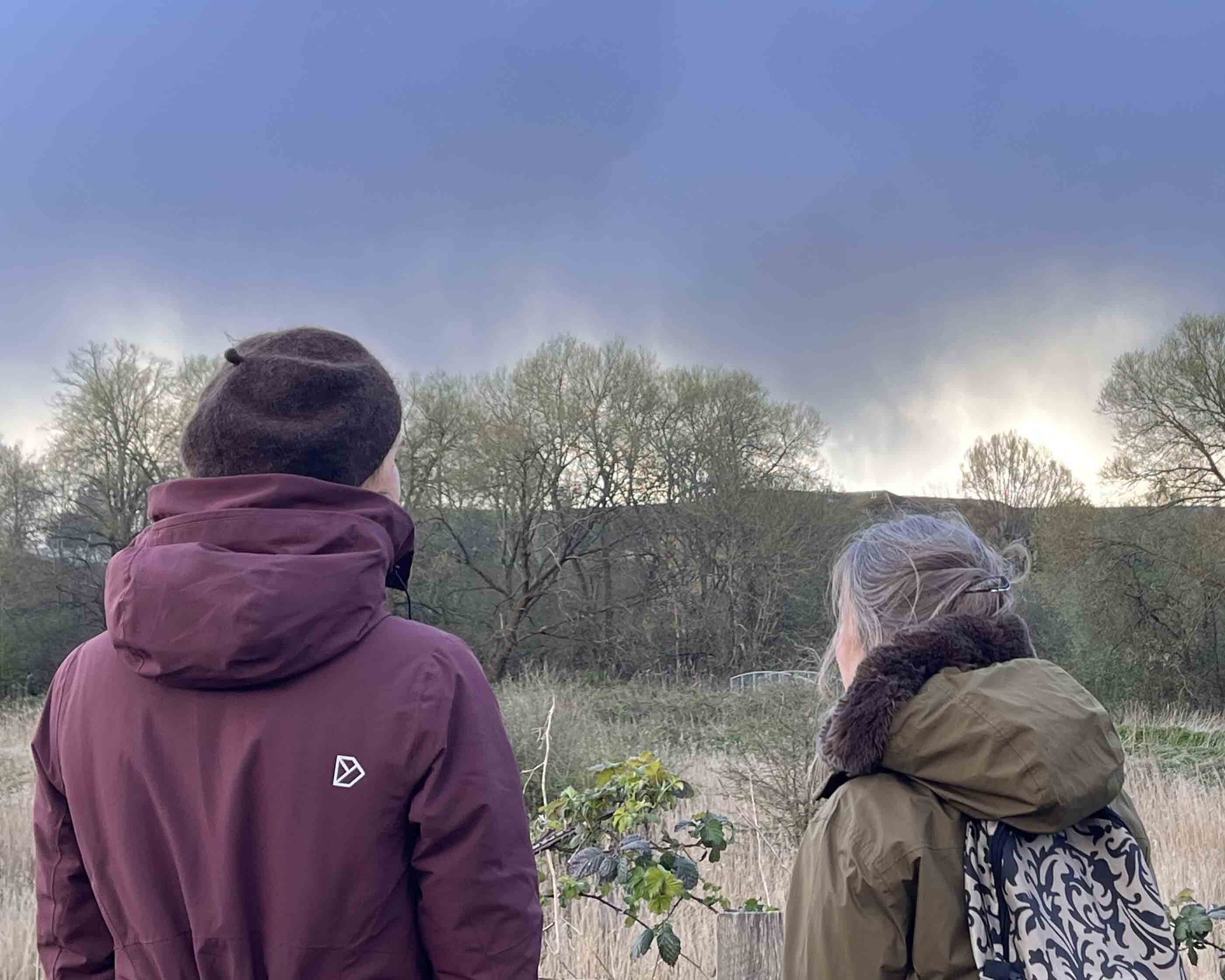 two figures look out across a wintry wetland