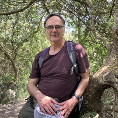 person leaning against tree