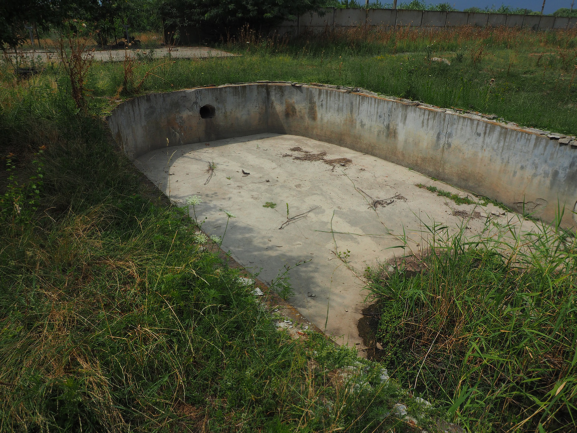 Descriptive alt text