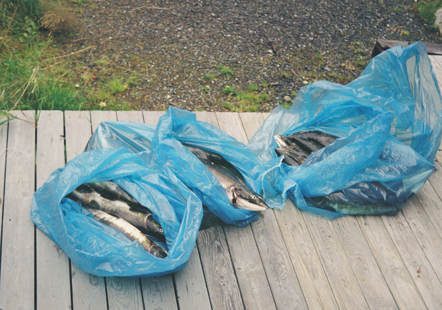 Descriptive alt text