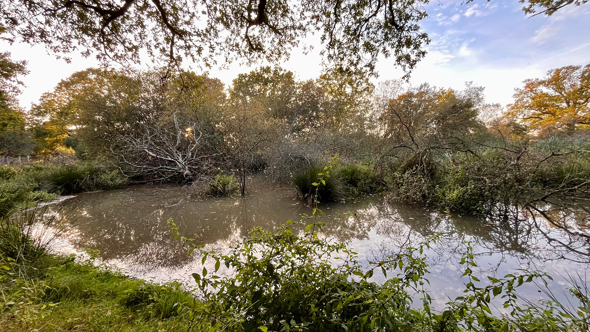 Descriptive alt text