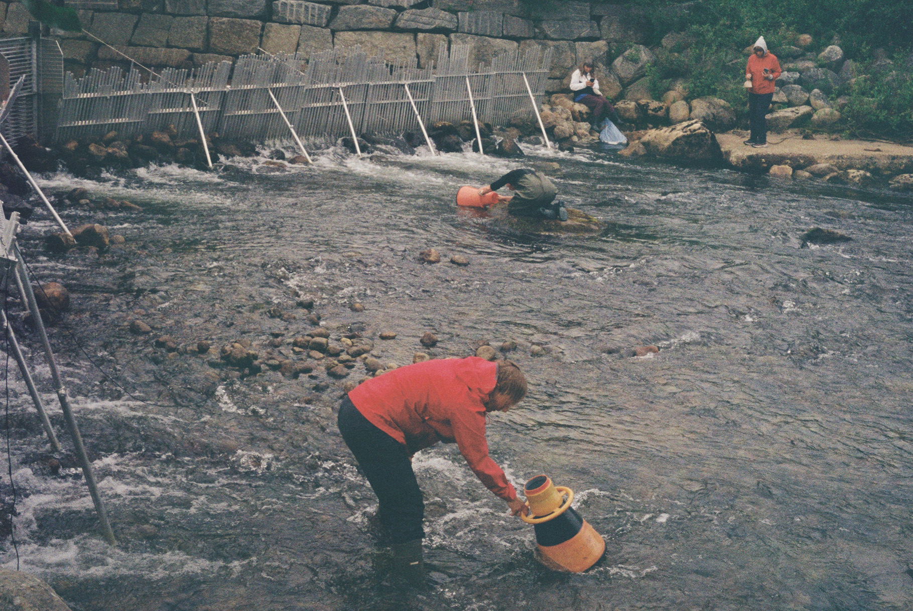 Descriptive alt text