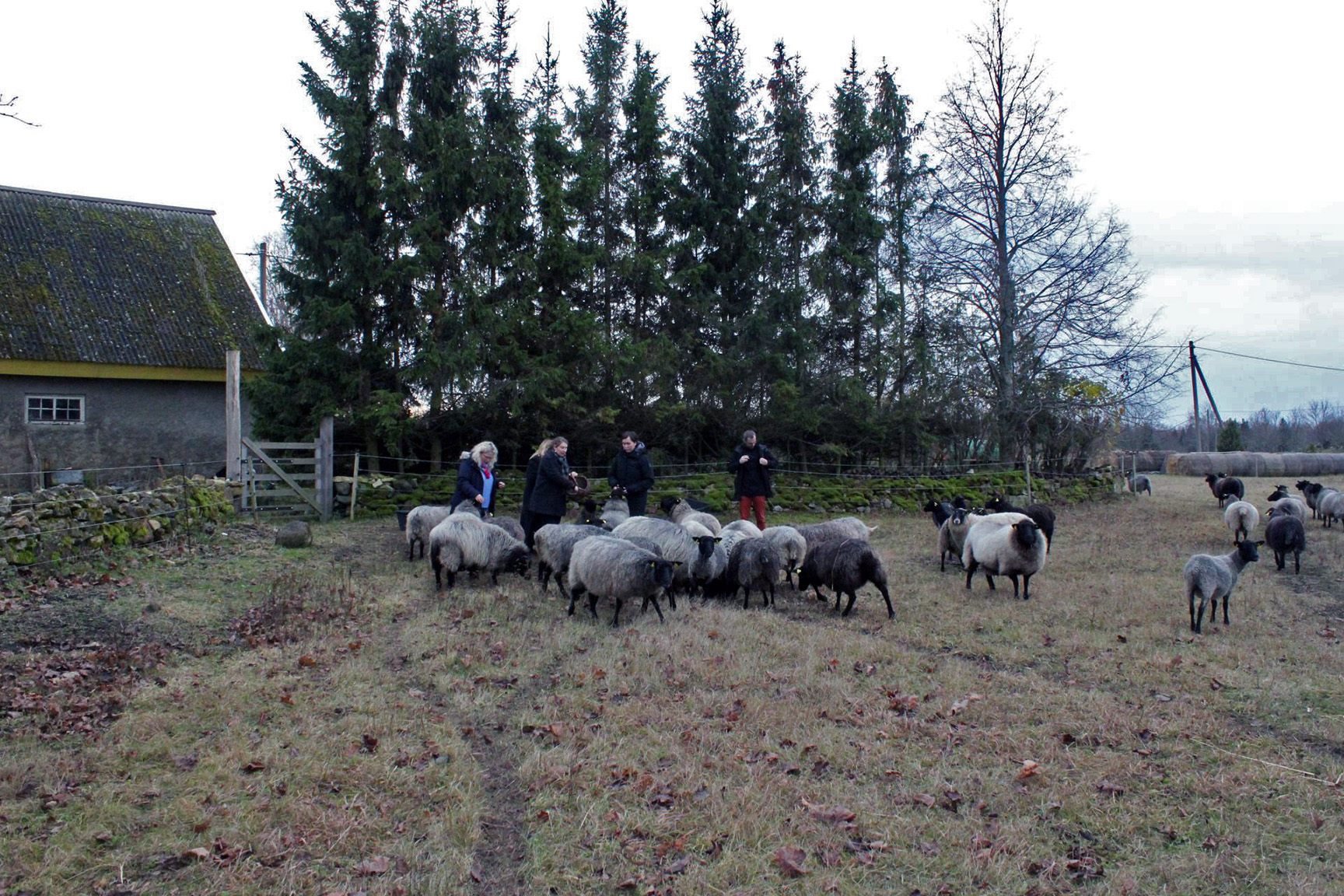 Descriptive alt text