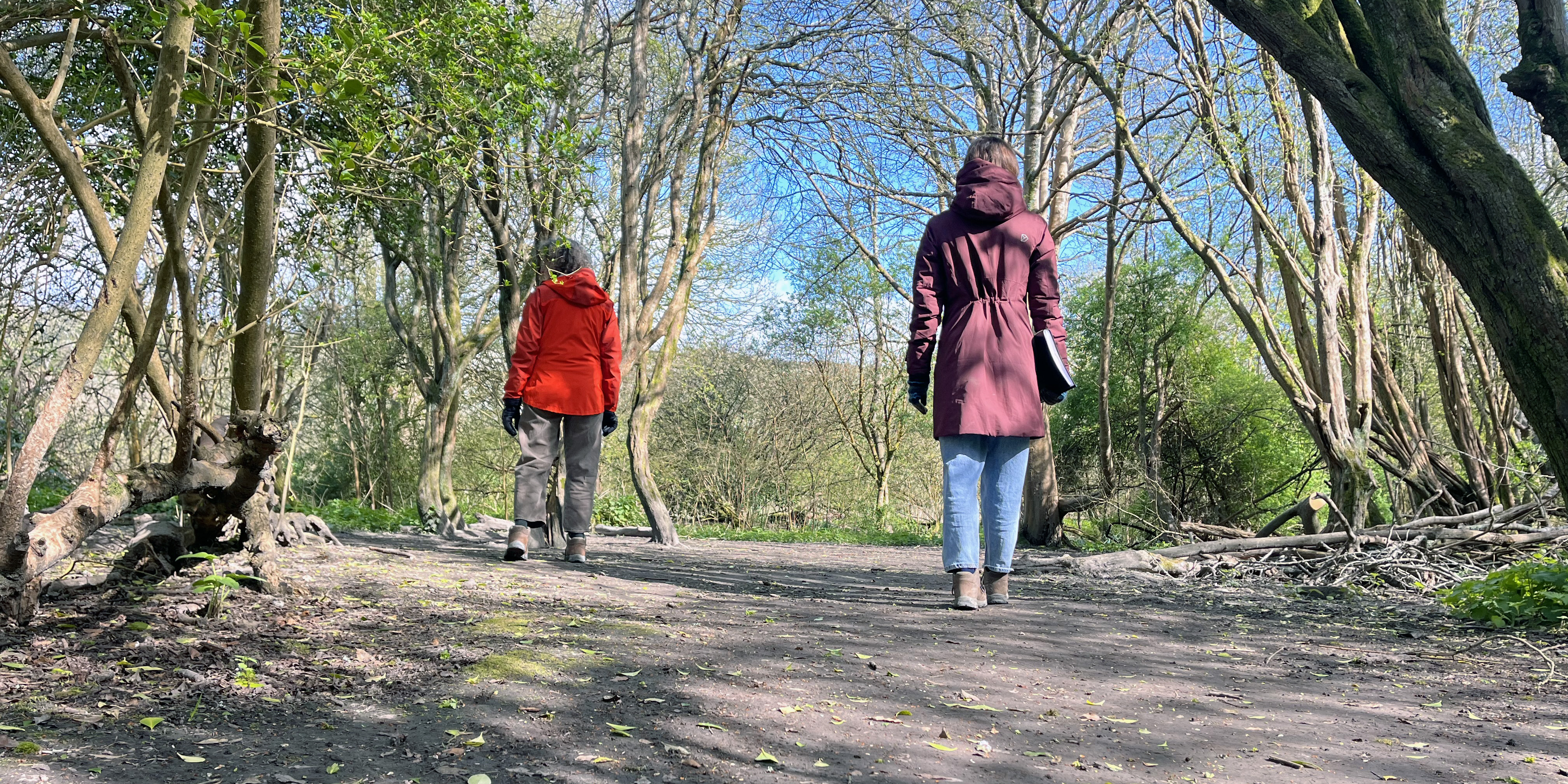 Two people walk in woodland