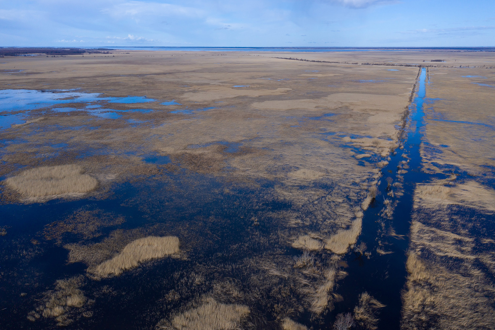 Descriptive alt text